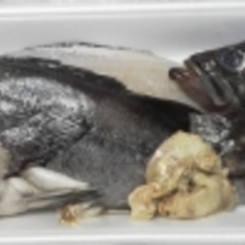 フライパンで30分 居酒屋の魚煮付け レシピ 作り方 By 馬ちん 楽天レシピ フライパンで30分 居酒屋の魚煮付け レシピ 作り方 By 馬ちん 楽天レシピ